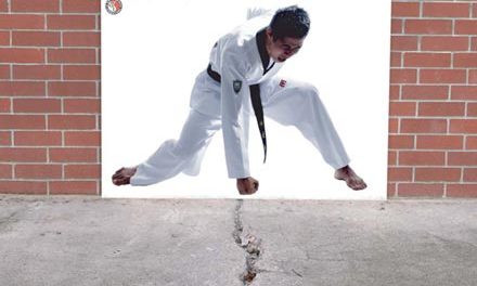 Artes marciales solidarias