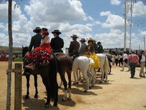 Caballos en la Feria de Córdoba