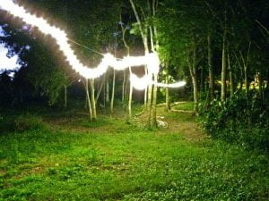 El nuevo material puede revolucionar la visión nocturna - Foto de readerwalker