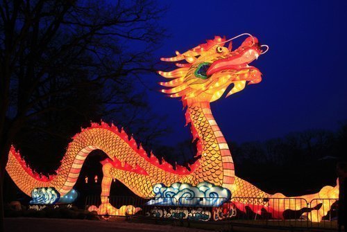 Dragón en las celebraciones chinas por el nuevo año