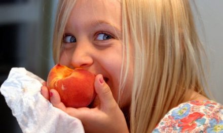 Y ahora a perder los kilos ganados… algo bueno para mantener el cerebro joven