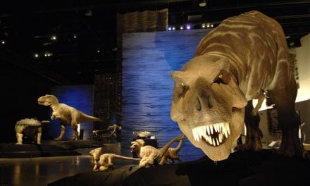 Celebra el día de Andalucía visitando cultura y ciencia en Granada “to the face”