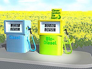 La UJA estudia nuevos combustibles más ecológicos que el gasoil