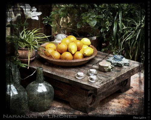 Naranjas y Limones por Paco Lozano