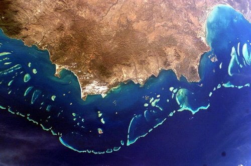 Mar del Coral - Fotografía de Wikimedia Commons