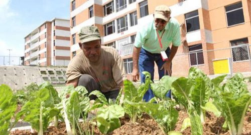 Agricultura Urbana en Venezuela