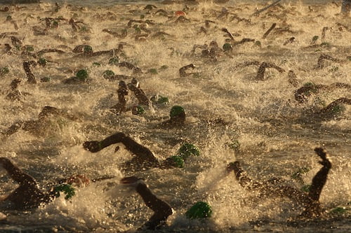 Triatletas nadando en mar abierto en Hawái