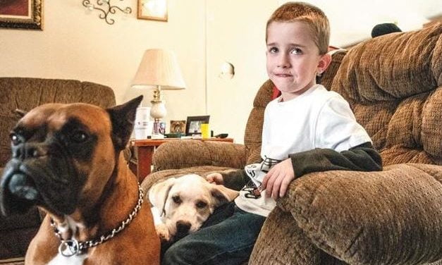 Los perros de un niño de 6 años lo salvan de morir congelado