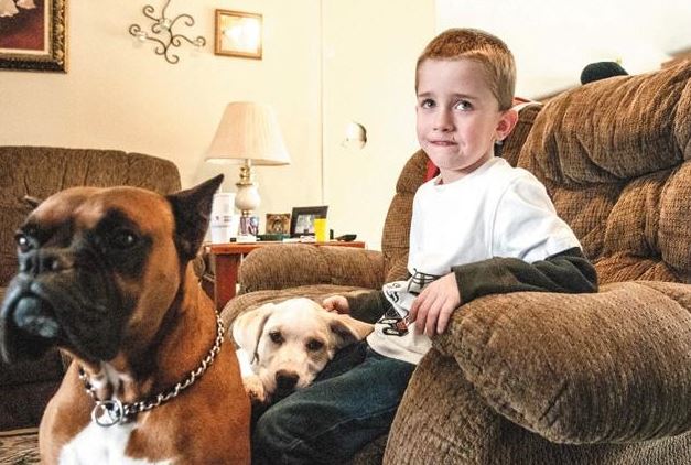 Los perros de un niño de 6 años lo salvan de morir congelado