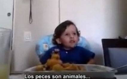 El niño que decidió no comer más animales