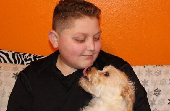 El Mozart de los Derechos de los Animales