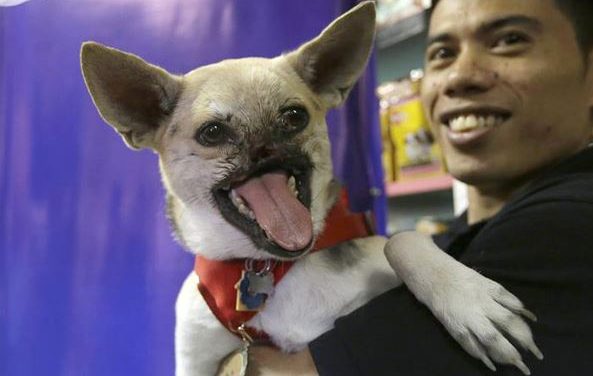 La historia de la perra Kabang que salvó a dos niñas en Filipinas