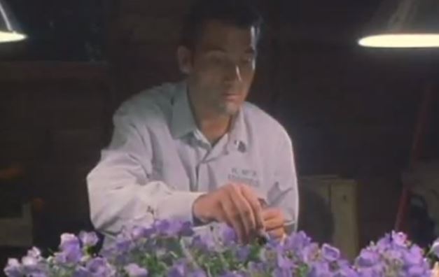 Proyección de la película Flower Power (Green Fingers) en Valle San Lorenzo, Arona (Tenerife)