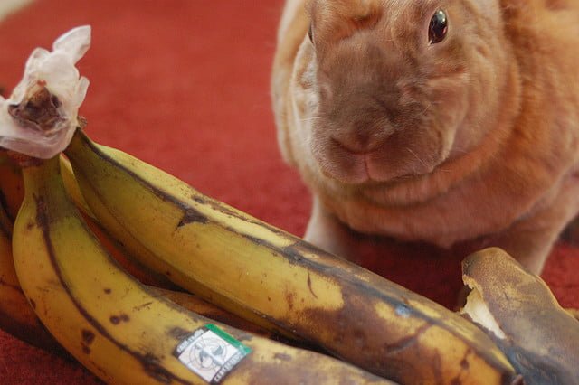 Aumenta el Comercio Justo en España