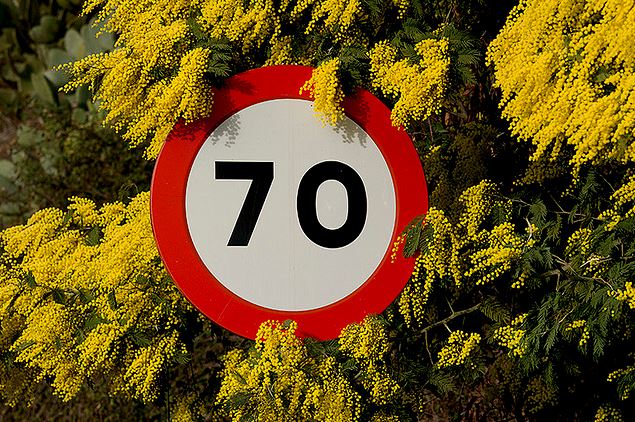 Desarrollan un sistema para determinar la visibilidad de las señales de tráfico