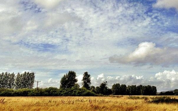 Desarrollan un nuevo catalizador que reduce los gases de efecto invernadero