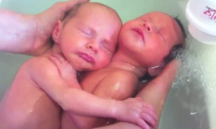 Dos gemelos que aún no saben que han nacido