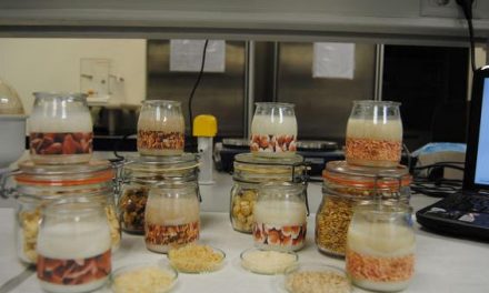 Yogures de leches vegetales, una alternativa a los yogures convencionales