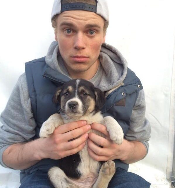 Deportista olímpico salva a cuatro perritos en los Juegos de invierno de Sochi