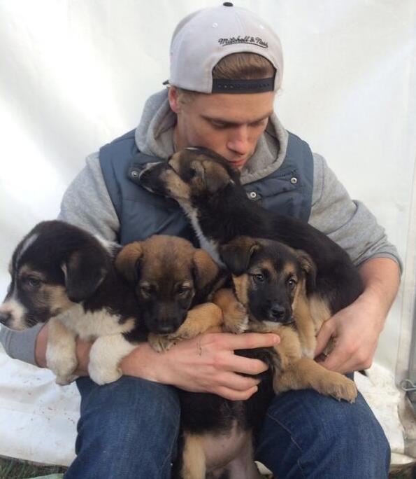 Gus Kenworthy con los cuatro cachorros