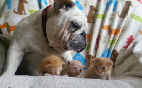 Entrañables y extrañas amistades