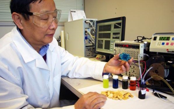 Desarrollan nueva pila de electricidad que funciona a partir de desechos orgánicos