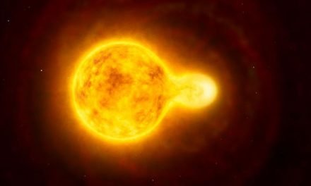 Detectada la mayor estrella amarilla hipergigante