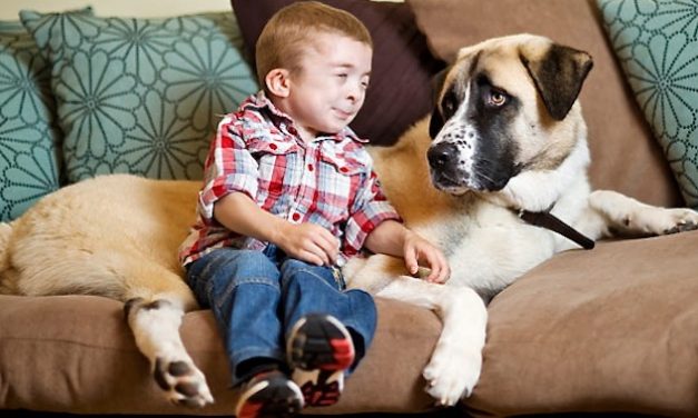 Una conmovedora historia de amistad