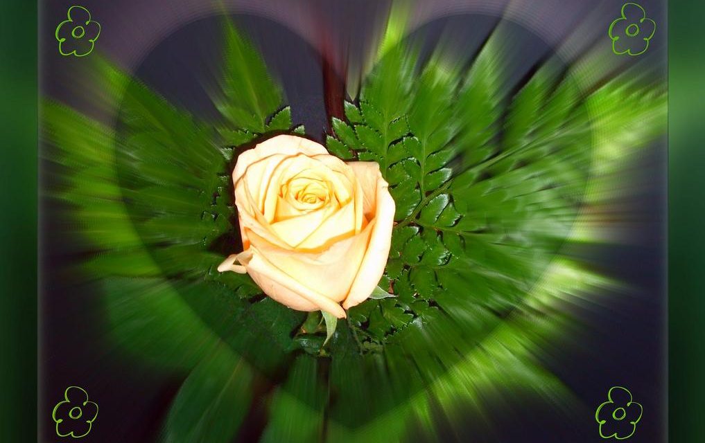 Felicidades a todas las mamás