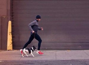 Perrotón Málaga 2014