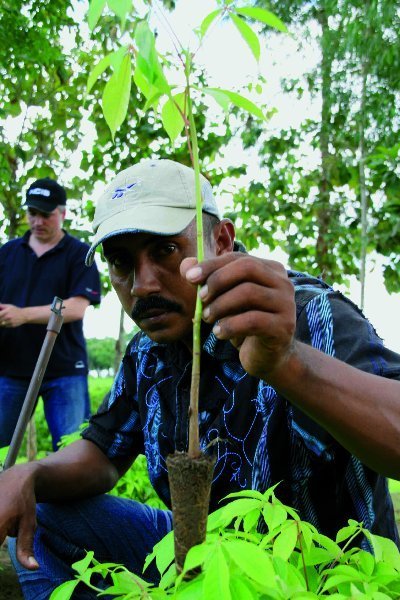 Uno de los agricultores de un eco-bosque. Foto: Faber Castell