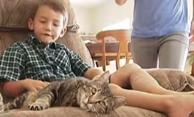 La gata de un niño le salva de un ataque de un perro