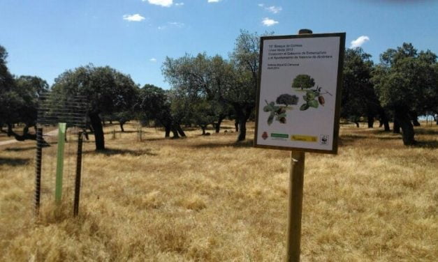 Correos y WWF inauguran el Bosque de Valencia de Alcántara