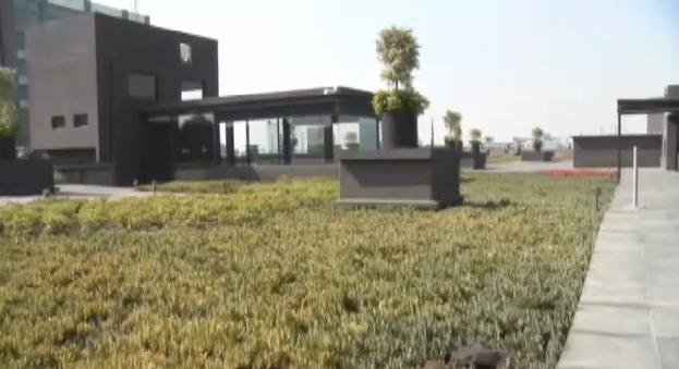 Los tejados de México se cubren de verde para combatir la contaminación