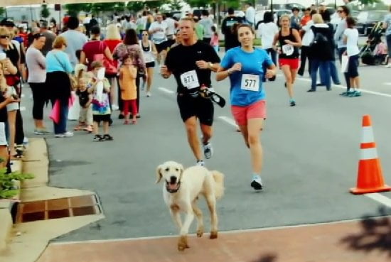 Dozer, el Perro Maratoniano.