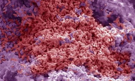 Los Secretos del Subsuelo de la Península Ibérica