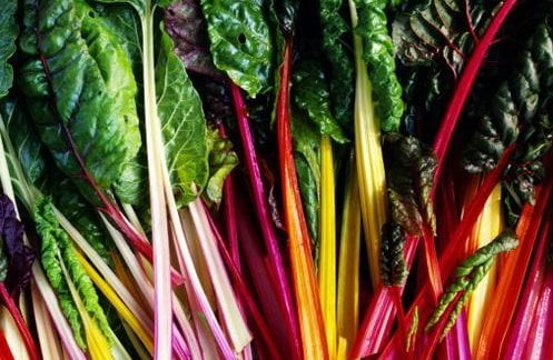 Seis vegetales para sentirte más sano y felix