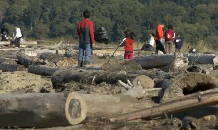 60.000 voluntarios limpiando las playas de Canadá