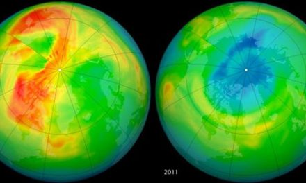 La capa de ozono comienza a recuperarse