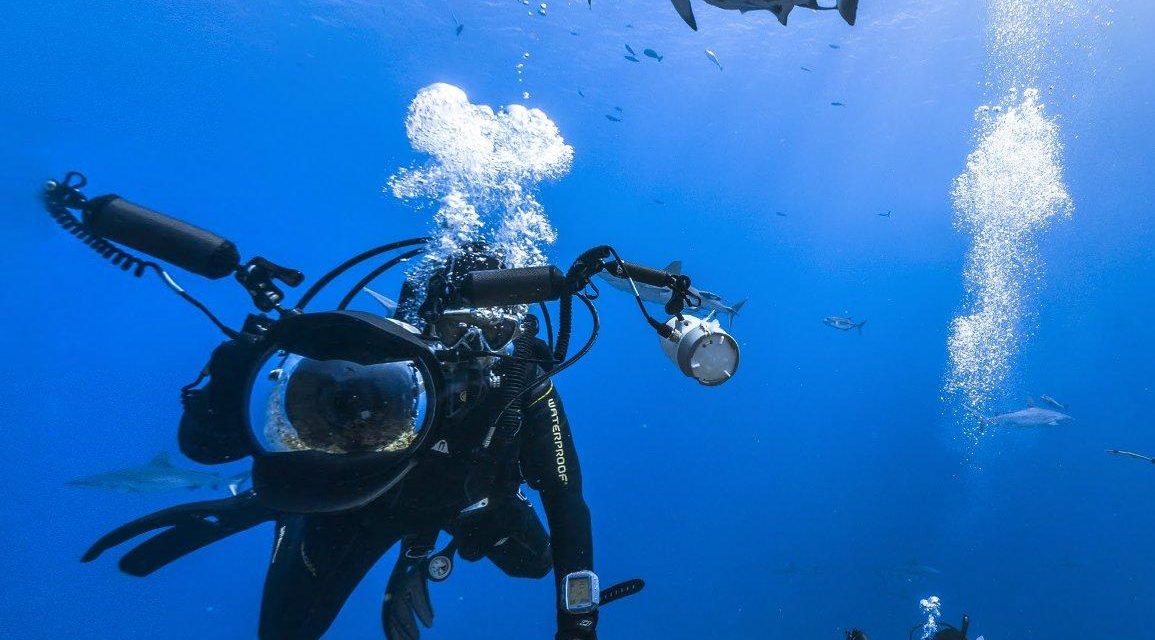 Sumérgete en el Gran Arrecife de Coral sin salir de tu casa