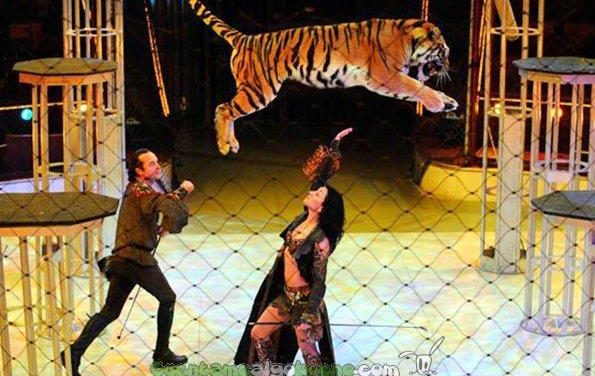 Los circos de México no usarán animales