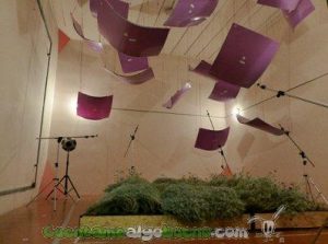 Sala de reverberación. Fuente: iies.