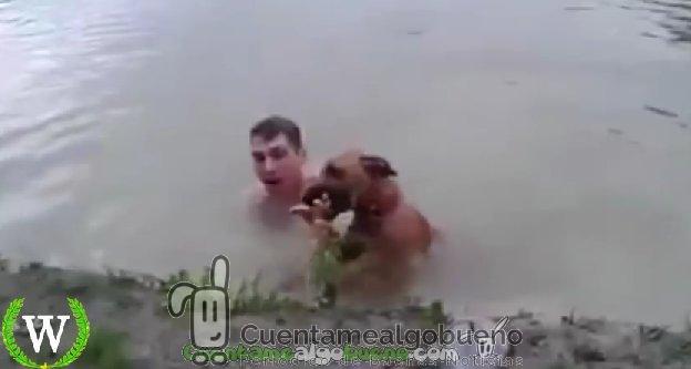 Un perro se lanza a rescatar a su dueño al creer que éste se ahogaba