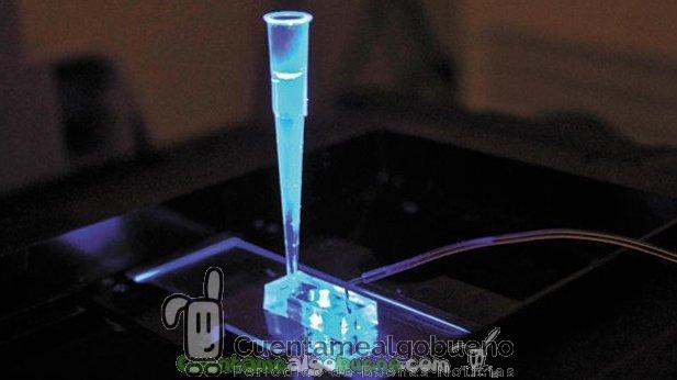 Inventan un chip que simula el corazón humano