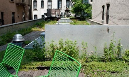 Demuestran la mejor eficiencia energética de edificios con cubiertas vegetales
