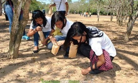500 brigadas de niños recogen 30 toneladas de semillas para reforestación en Venezuela