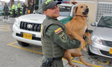 Policía salva en Colombia a un perro que lanzaron al agua con las patas amarradas