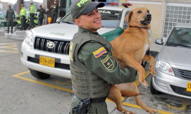 Policía salva en Colombia a un perro que lanzaron al agua con las patas amarradas