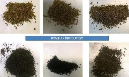 El biochar – nuevo material para mejorar los suelos a partir de residuos ganaderos