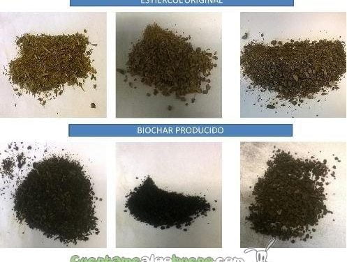 El biochar – nuevo material para mejorar los suelos a partir de residuos ganaderos